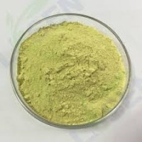 Rutin %50 Powder 50 gr